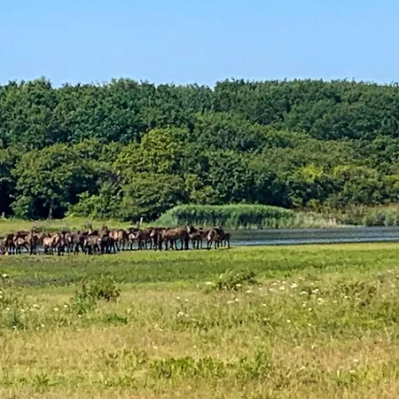 6 Person In Bagenkop-by Traum Appartement