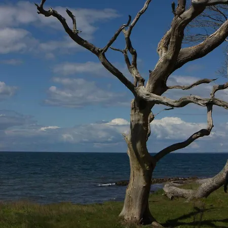 6 Person In Bagenkop-by Traum Appartement