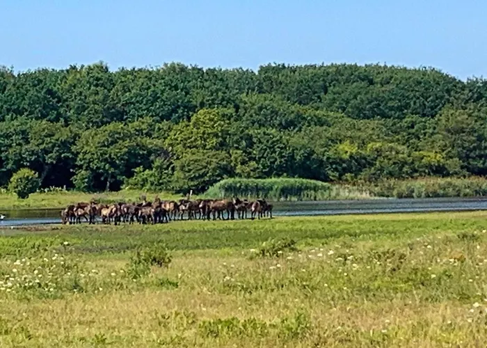 6 Person In Bagenkop-by Traum Apartmán
